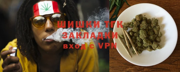 хмурый Алексин