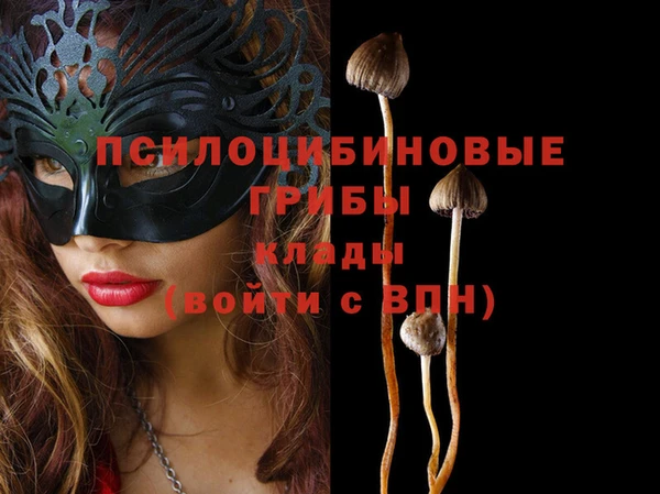 соль курить ск Липки