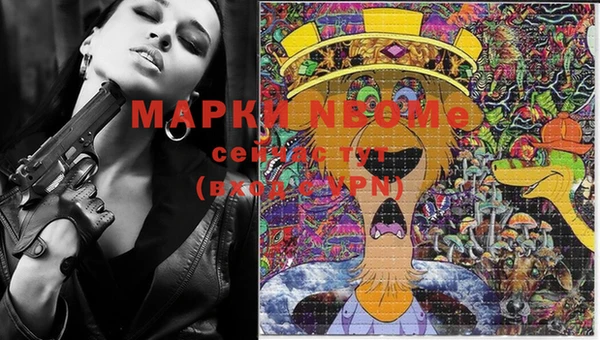 хмурый Алексин
