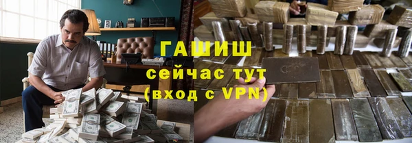 хмурый Алексин