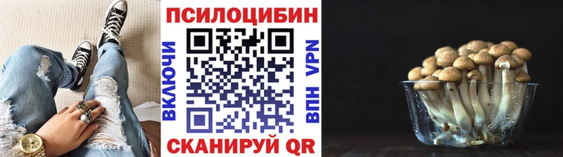 Псилоцибиновые грибы GOLDEN TEACHER  Чердынь 